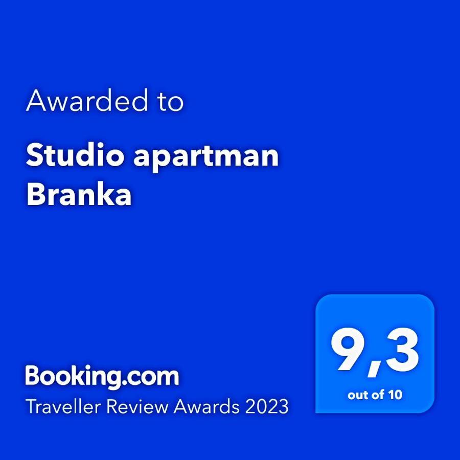Studio apartman Branka Labin  Bagian luar foto