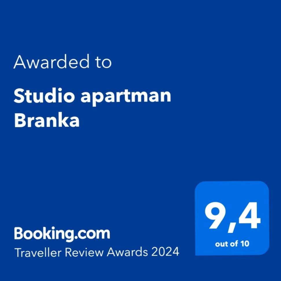 Studio apartman Branka Labin  Bagian luar foto